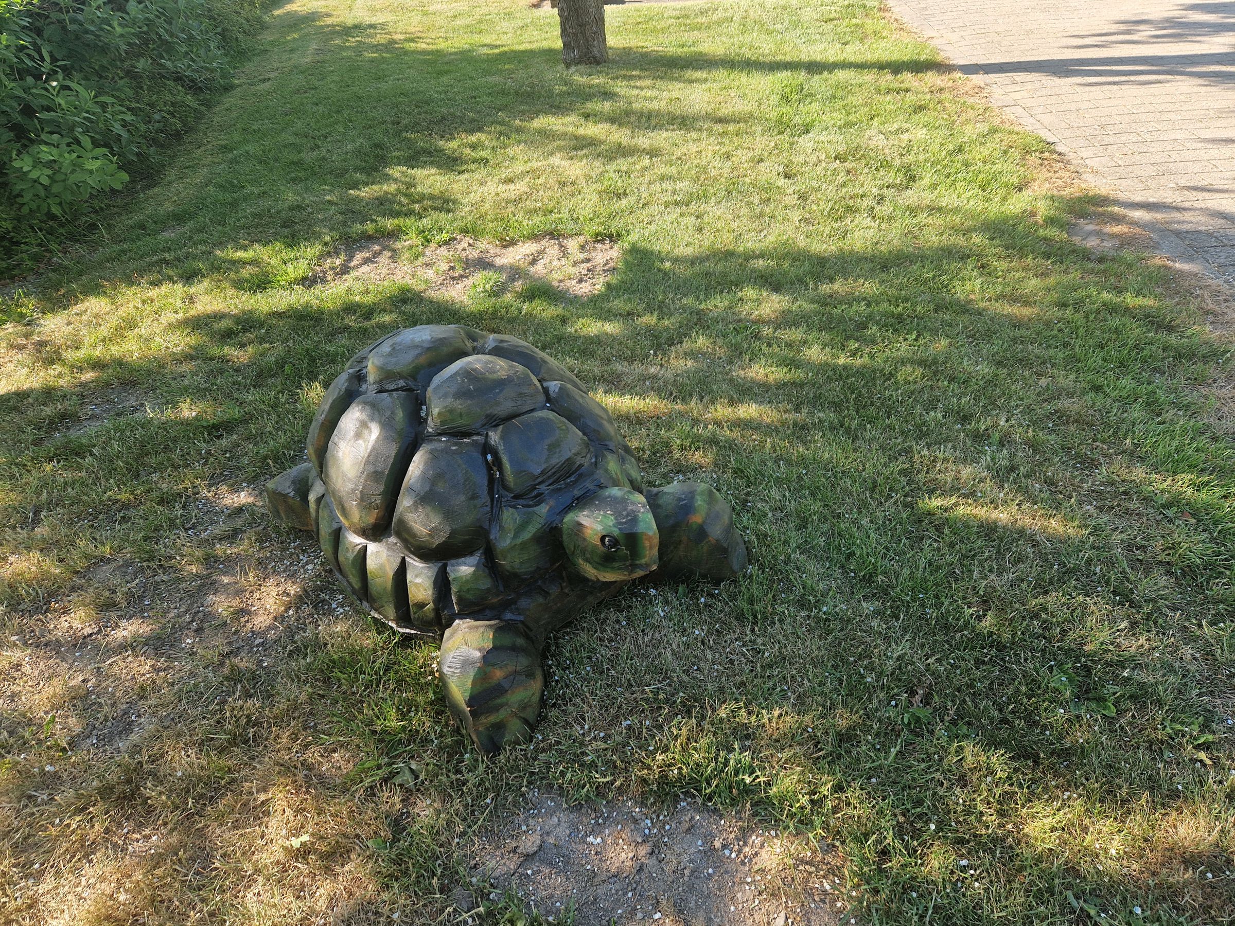 Træskulptur, der forestiller en skildpadde