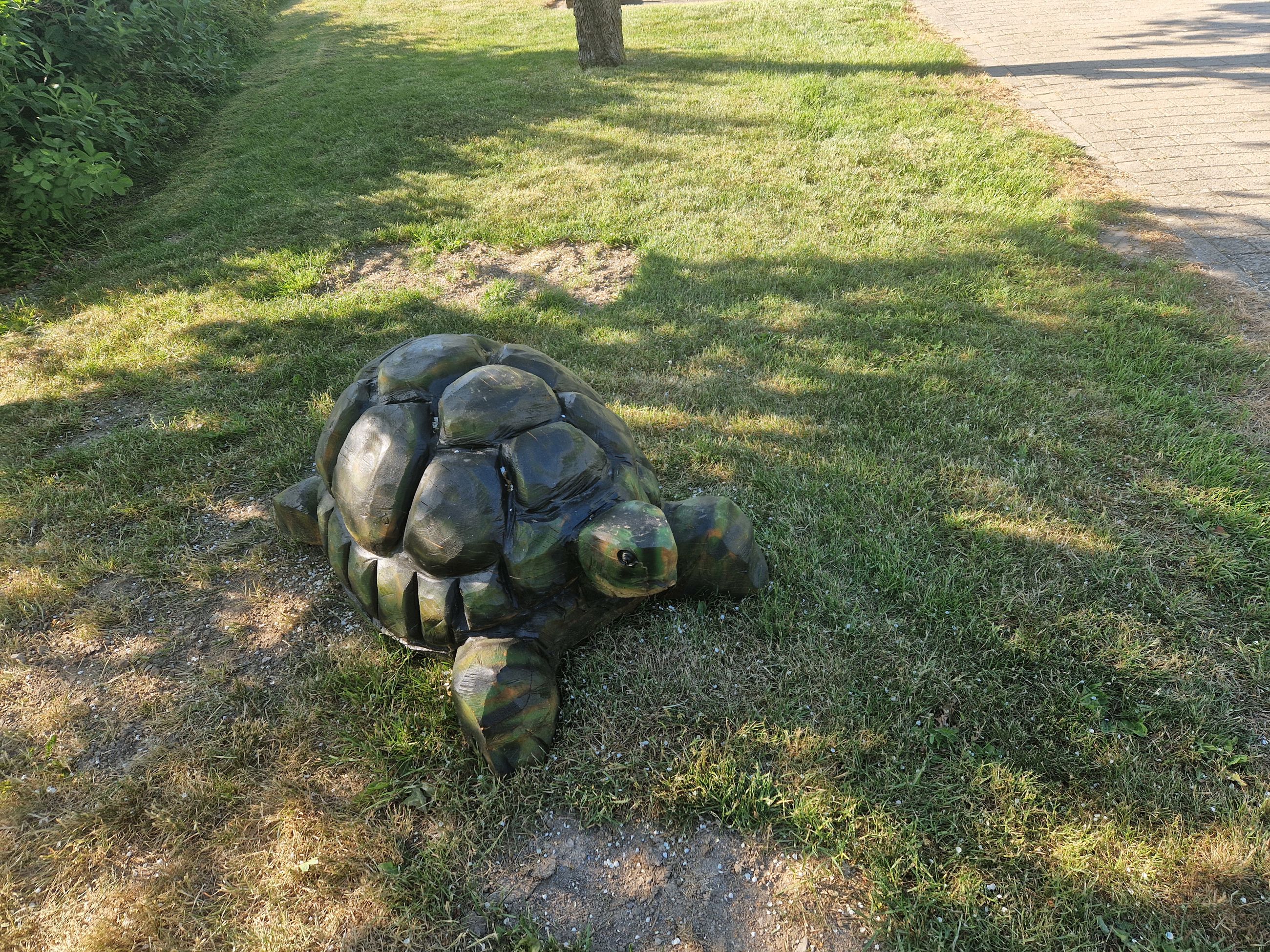 Træskulptur, der forestiller en skildpadde
